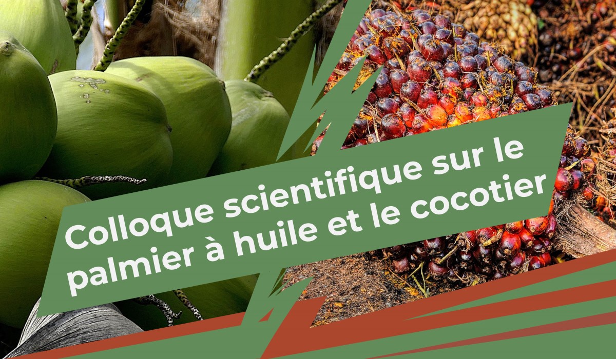 Séminaire sur le bilan des Recherches sur le Palmiers à huile au Bénin